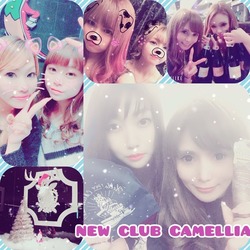 New Club Camellia