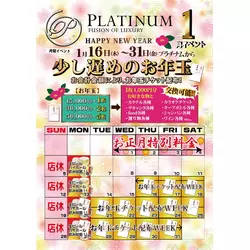 FUSION OF LUXURY PLATINUM
