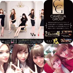 New Club Camellia