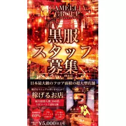 New Club Camellia