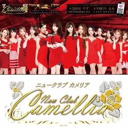 New Club Camellia