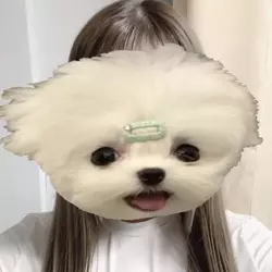 ナルミ