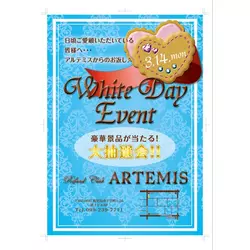 ARTEMIS