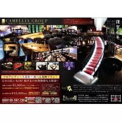 New Club Camellia