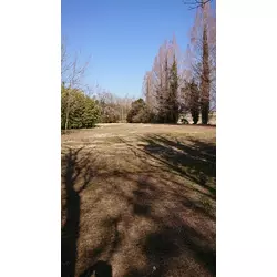 馬券の鬼