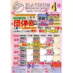 FUSION OF LUXURY PLATINUM