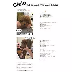 COSMO CLUB Cielo