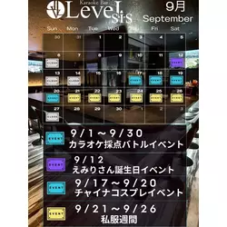 LeveL sis