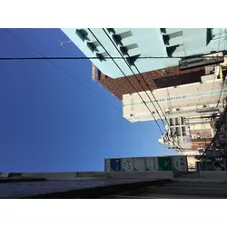 倶楽部 椿