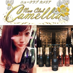 New Club Camellia