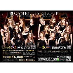 New Club Camellia