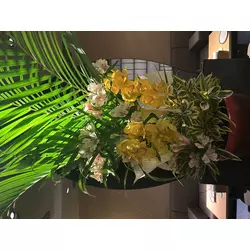 絲紋 -別邸 凛-