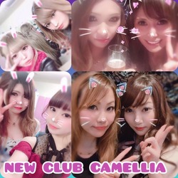 New Club Camellia