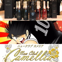 New Club Camellia