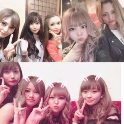 New Club Camellia