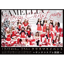 New Club Camellia