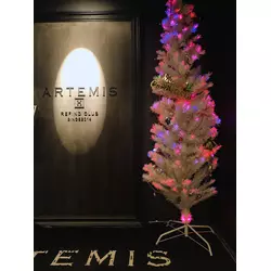 ARTEMIS