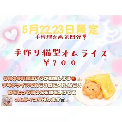 Nyan Nyan