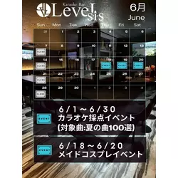 LeveL sis