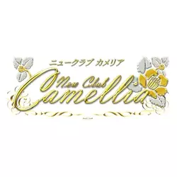 New Club Camellia
