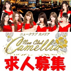 New Club Camellia