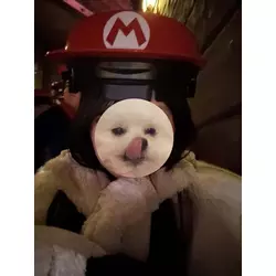 コスプレGirlsBar Ring