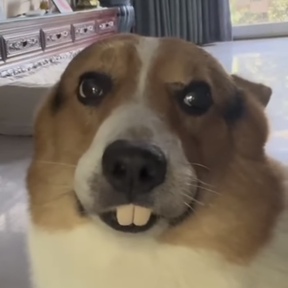 えりか
