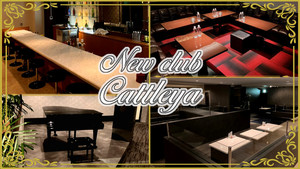 New club Cattleya
