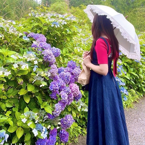 朝比奈 雅
