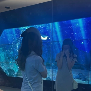 うみ