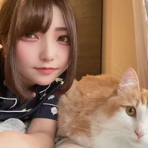 諸葛亮ねる