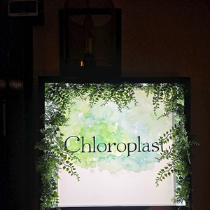 クロロ(系列店)ママ