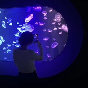 リサ