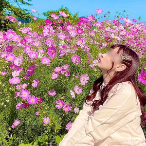 朝比奈 雅