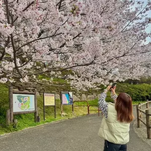 みい