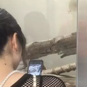 恋乃 百愛