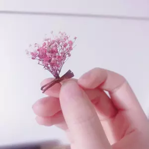 みーぬ