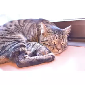 ○