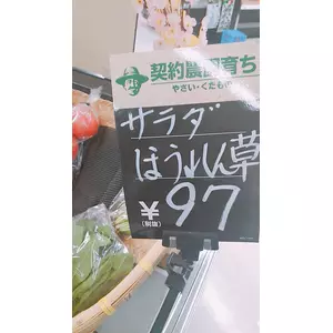 王子の愉快な仲間たち