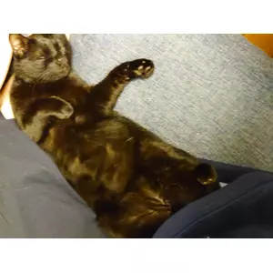 りょう
