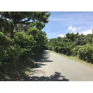 名無し