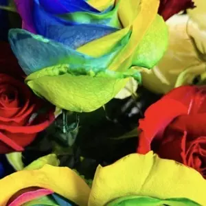 しおりママ|藤枝市 駅前のラウンジ|Robin(ロビン)