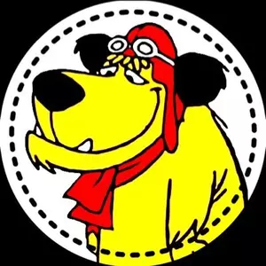 🐶🐶