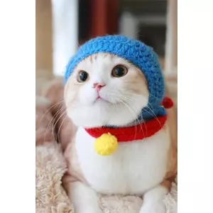 だいすけ
