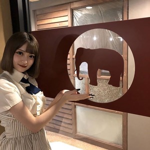 お知らせ | elephant cafe(エレファントカフェ) 札幌市中央区南 