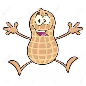 落花生くん!風俗王になりたい!