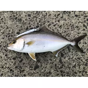 まるりり