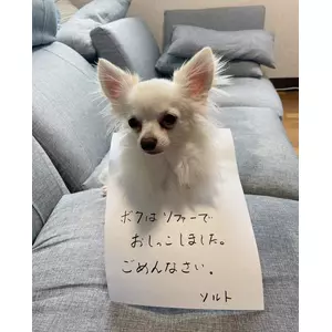 採用担当♀