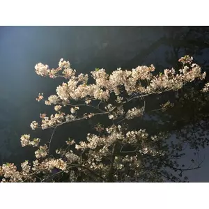 洗濯屋けんちゃん