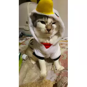 あつし